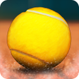 程序图标：Tennis Mania Mobile