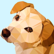 程序图标：Poly Art Number Coloring …