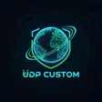 Icon of program: Custom UDP
