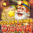 Golden Miner Dig Win icon
