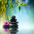 Symbol des Programms: Relaxing Music Offline