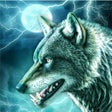 Icoon van programma: Wolf Simulator Clash of C…
