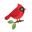 程序图标：Name the bird