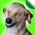 プログラムのアイコン：Stickers de perros gracio…