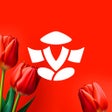 프로그램 아이콘: Суши Мастер - Доставка ед…