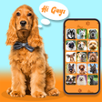 程序图标：Stop Barking Dog Sounds P…