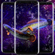 Programın simgesi: Channa Fish Wallpapers