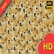 Icon of program: 2048 Doge Meme Wallpapers…