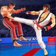 Ikon program: Karate Kings Fight 22