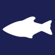 Ikon program: RiceFish
