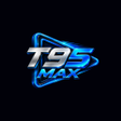 Иконка программы: T95 Max