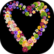 プログラムのアイコン：Live flowers drawing & Sk…