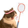 Icon of program: Cat Meme Badminton