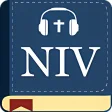 Audio Bible Study NIV 1984