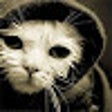 Icon of program: Most of your friends are …