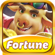 程序图标：Fortune Ox Spin2Win