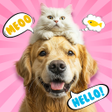 プログラムのアイコン：Talk2Pets