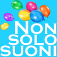 程序图标：Radio Nonsolosuoni.it