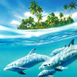 Иконка программы: Dolphin Live Wallpaper