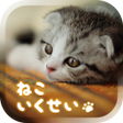 Ícone do programa: Cat Simulation Game 3D