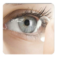 プログラムのアイコン：Contact Lenses tips