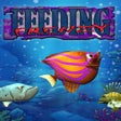 Ikon program: Feeding Frenzy