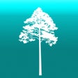Icoon van programma: Arboreal - Tree