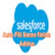 أيقونة البرنامج: _SalesForce - Auto Fill S…