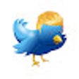 ไอคอนของโปรแกรม: Twitter Normalleştirici