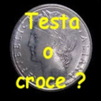 程序图标：Testa o croce