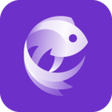 Ikona programu: Devision – Web & SEO Tool…