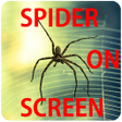 プログラムのアイコン：Spider On Screen Prank
