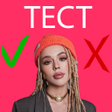 程序图标：Инстасамка тест