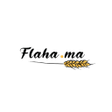程序图标：Flaha