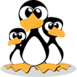 Ikon program: Pingus for Christmas