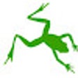 Icon of program: Leapfrog Leads