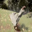 Programın simgesi: you as a baby simulator