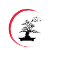Biểu tượng của chương trình: Demo Bonsai