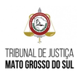 程序图标：TJMS - Consulta Processua…