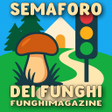 プログラムのアイコン：Semaforo dei Funghi