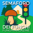 ไอคอนของโปรแกรม: Semaforo dei Funghi