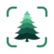 Biểu tượng của chương trình: AI Tree Identifier: ID Tr…