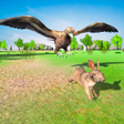 Icon of program: Flying Eagle Family Simul…
