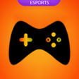 Icon of program: GMNG Esports