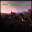 Icon of program: Natural Toussaint Lightin…