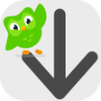 Icon of program: Duolingo Vocabulary Downl…