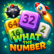 ไอคอนของโปรแกรม: What The Number