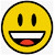 Icon of program: F5-LTM-Config-Viewer