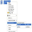 Programın simgesi: Upload Express