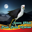 프로그램 아이콘: Pikat Ruak Ruak Malam Off…